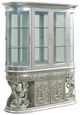 ACME Furniture Sandoval Champagne Curio-0