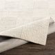 Surya Colarado Multi-Colored 8"x10" Rug-3