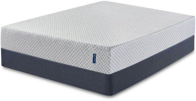 Serta® Sheep Retreat™ Gel Memory Foam Medium Tight Top Queen Mattress in Box-4