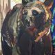 YHD Yellowstone Wall Art-4