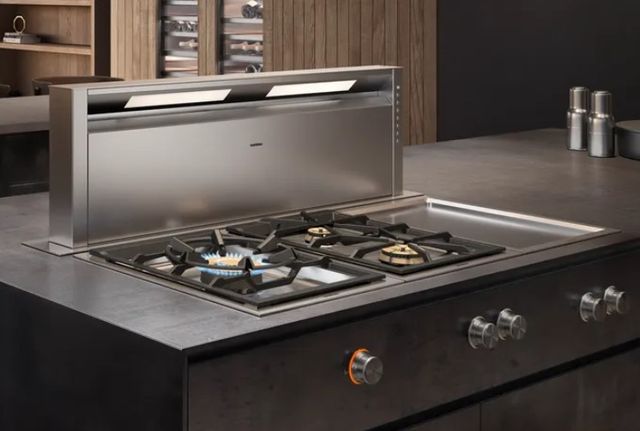 Gaggenau 400 series 48" Stainless Steel Downdraft Range Hood-1