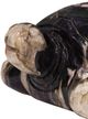 A & B Home Beige/Black Turtle Ornament-1