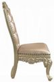 ACME Furniture Vatican 2-Piece Champagne Silver Side Chair Set-4