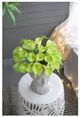 A & B Home Green Faux 13'' Calla Lily-5