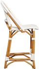 Furniture Classics Leroy Brown/White Counter Stool-2