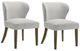 ACME Furniture Dillon 2-Piece Gray Side Chair Set-0