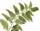 A & B Home Green 60" Wood Fern Bush-1
