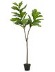 A & B Home Green 4.5" Fiddle-Leaf Fig Tree in Pot-0