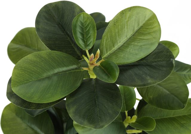 Monarch Specialties Inc. 2-Piece Black 14" Tall Artificial Potted Ficus-3