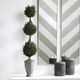 Uttermost® by Constance Lael-Linyard Cypress Triple Topiary-2