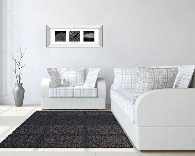 Classy Art Elements of Nature 2 by Chris Simpson Mirror Framed Wall Art-1