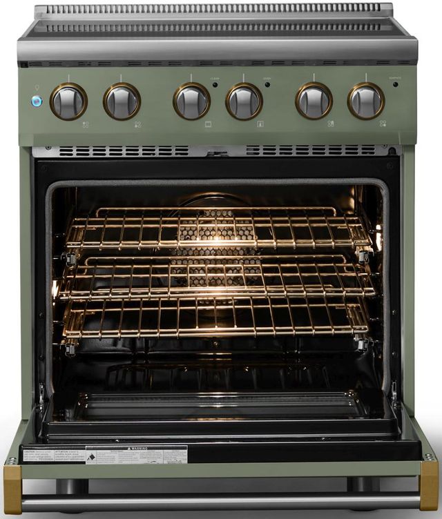 Viking® 5 Series 30" Eucalyptus Pro Style Electric Range with Brushed Brass Trim-1