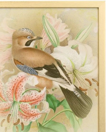 Stylecraft Tamara Day for Stylecraft Naturalist Archive I Wall Art-1