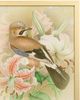 Stylecraft Tamara Day for Stylecraft Naturalist Archive I Wall Art-1