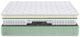 Primo™ International Honey Cloud Nuovo 10" Hybrid Tight Top Twin XL Mattress in a Box-2