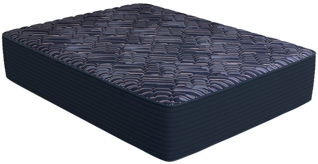 Symbol® Ultimate Luxury Barrow 16" Wrapped Coil Firm Tight Top Queen Mattress-0