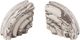 TOV Furniture Grey Set of 2 Marble Bookends-2
