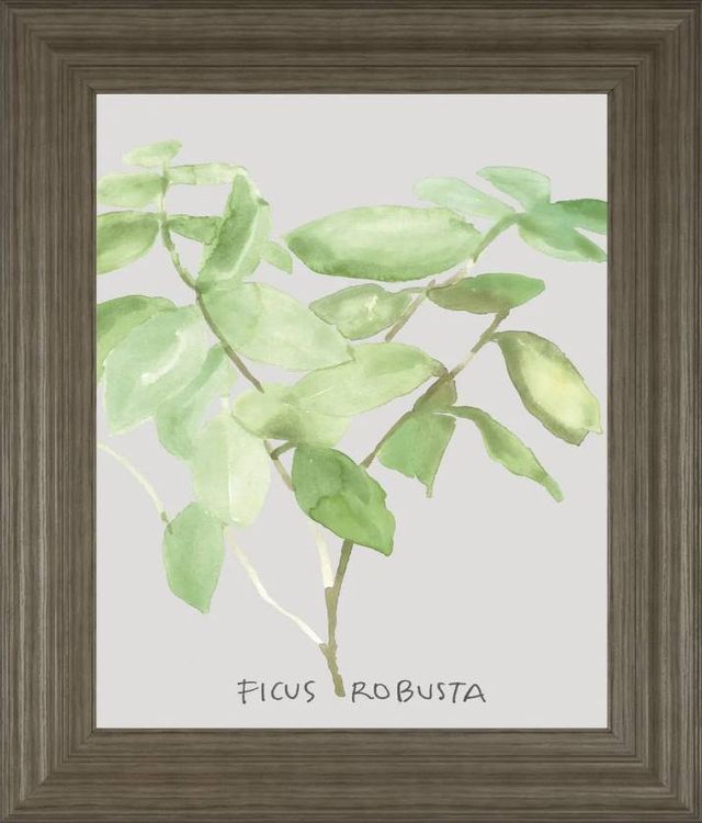 Classy Art Ficus Robusta by Katrien Soeffers Wall Art-0