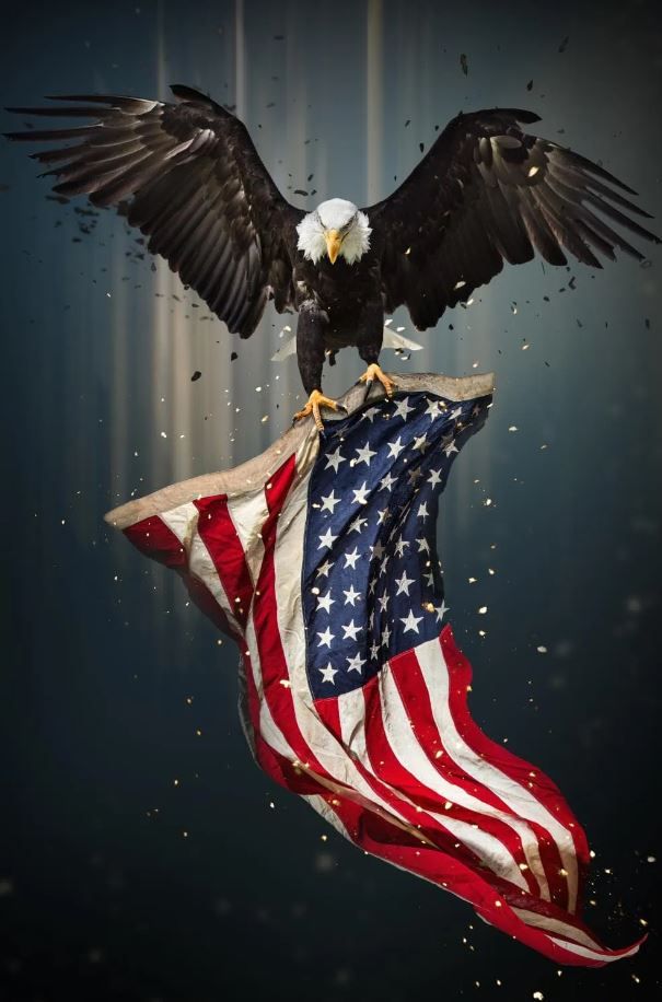 Classy Art Eagle Flag Wall Art-1