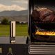 Traeger Stainless Steel Wireless Meat Thermometer-5