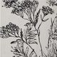 Renwil® Basset 2-Piece Black Wall Print Set-1