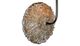 Forty West Eden Beige Wall Light Sconce-1
