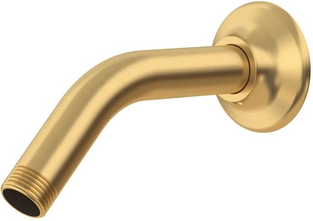 American Standard Universal Brushed Cool Sunrise 5" Standard Showerhead Arm-1