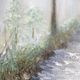 YHD Lighted Path I Wall Art-4