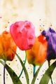 Stylecraft Everyday Tulips Wall Art-1