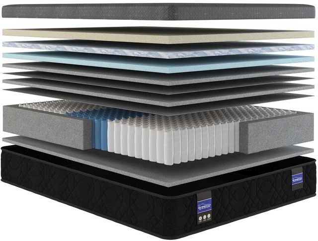 Spring Air® Back Supporter Makayla 14.5" Hybrid Plush Smooth Top Full XL Mattress-2