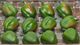 A & B Home Green Faux Bell Pepper-0