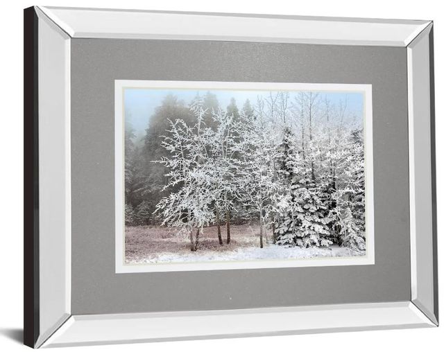 Classy Art White Frosty Morning by Mike Jone Wall Art-1