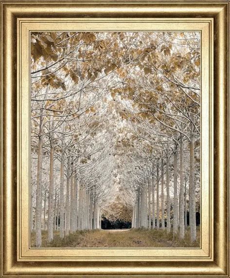 Classy Art Gold/White by Assaf Frank Wall Art-0