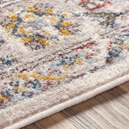 Surya Ankara Multi-Colored 8'x10' Area Rug-3