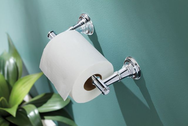 Moen® Ellsworth Chrome Pivoting Paper Holder-1