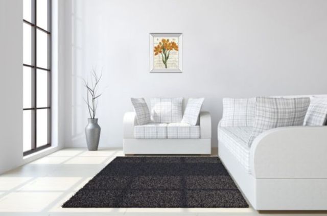 Classy Art Eurphoria Botany by Sue Schlabac Wall Art-3