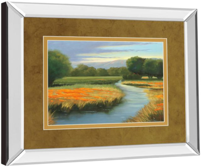 Classy Living Julie Peterson California Orange Mirror Framed Wall Art-3