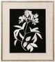 StyleCraft Nature White on Black Wall Art-0