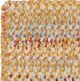 Capel Rugs Grand-Le-Fleur Marigold 36" Square Throw Rug-1