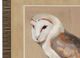 Stylecraft Beige/Brown Framed Print-1