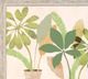Stylecraft Boho Still Life I Brown/Gray/Green/Light Brown/Light Green Wall Art -1