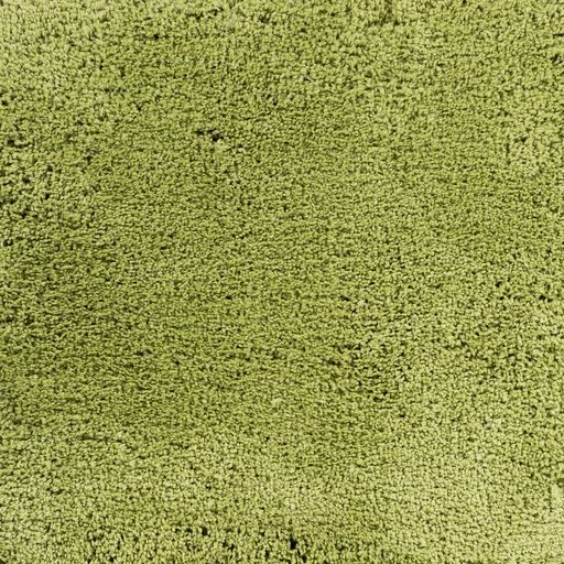 Surya Heaven Lime 2'x3' Throw Rug-3