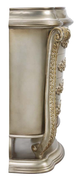 ACME Furniture Danae Champagne/Gold Chest-4