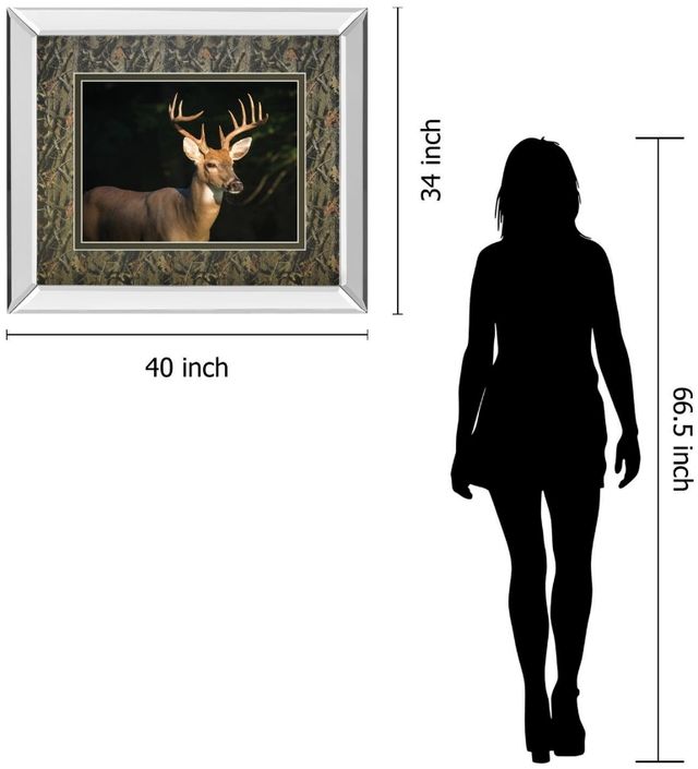 Classy Living Tony Campbell White Tail Buck Wall Art-2