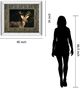 Classy Living Tony Campbell White Tail Buck Wall Art-2