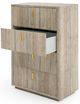 VIG Furniture Nova Domus Roma Beige/Gold Chest-3
