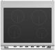Fisher & Paykel Series 9 30" Red Induction Pro Style Range-2