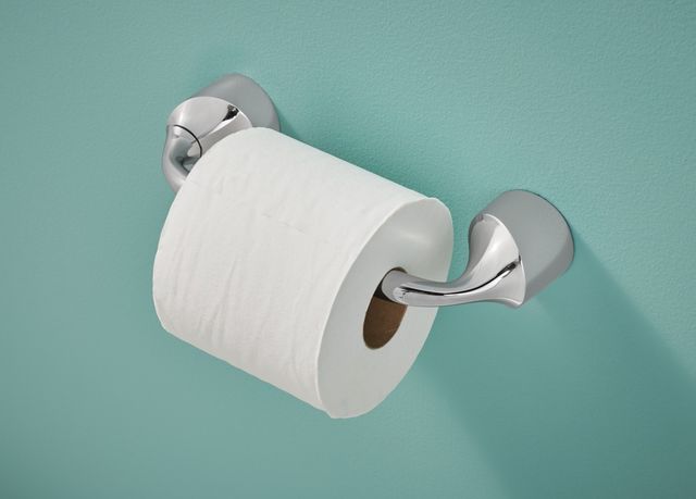 Moen® Idora Chrome 8" Pivoting Toilet Paper Holder-1