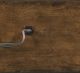 Kincaid® Commonwealth Monte Brown Buffet and Dining Hutch-4