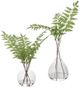 Uttermost® Country 2-Piece Green Fern Set-0